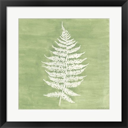 Framed Forest Ferns I Print