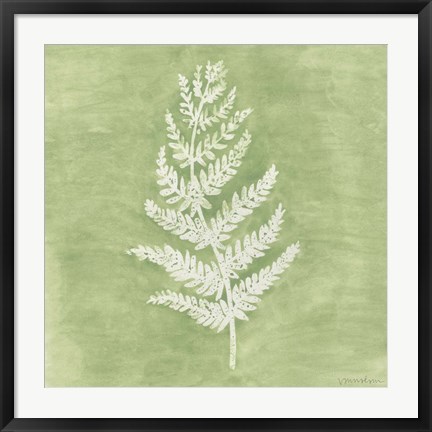 Framed Forest Ferns II Print