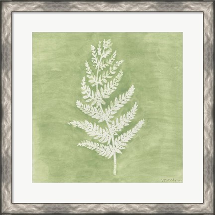 Framed Forest Ferns II Print
