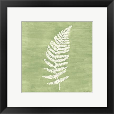 Framed Forest Ferns III Print