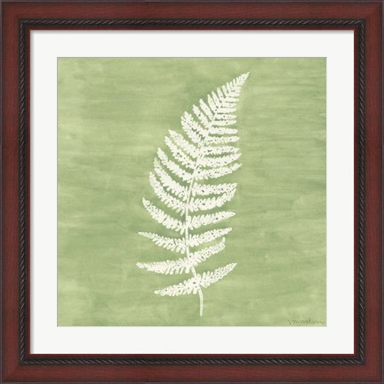 Framed Forest Ferns III Print