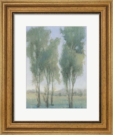 Framed Tree Grove II Print