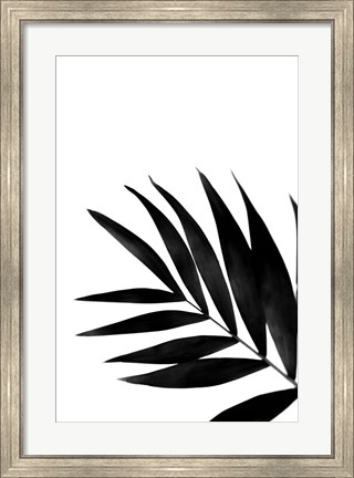 Framed Black Palms II Print