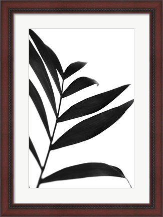 Framed Black Palms IV Print