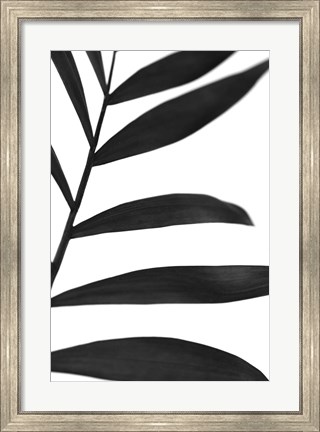 Framed Black Palms V Print