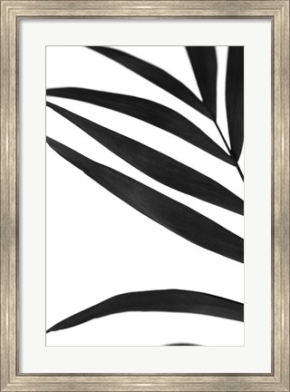 Framed Black Palms VI Print