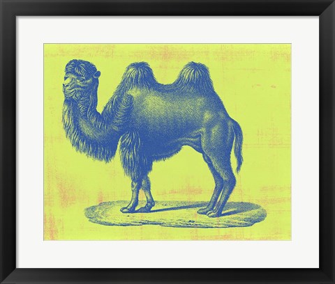 Framed Safari Pop IV Print