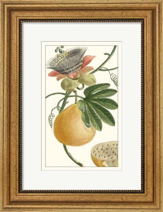 Framed Turpin Exotic Botanical III Print