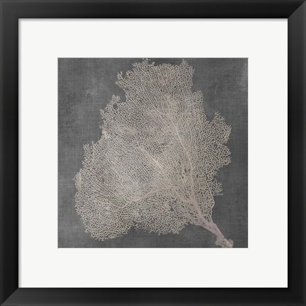 Framed Natural Sea Fan VII Print