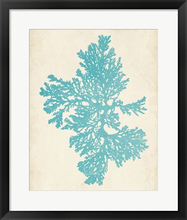 Framed Aquamarine Seaweed II Print