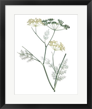 Framed Soft Green Botanical IV Print