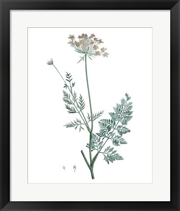 Framed Soft Green Botanical V Print