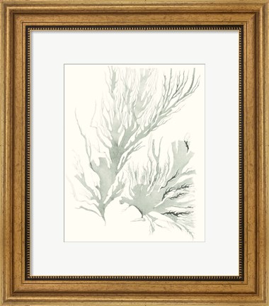 Framed Sage Green Seaweed IV Print