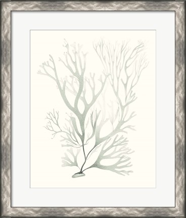 Framed Sage Green Seaweed V Print
