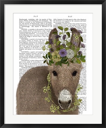 Framed Donkey Bohemian 2 Book Print Print