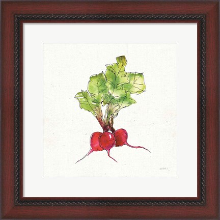 Framed Veggie Market II Radish Print