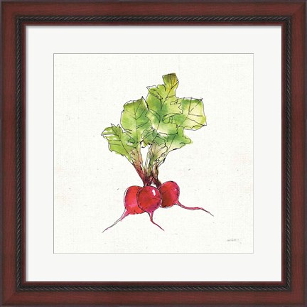 Framed Veggie Market II Radish Print