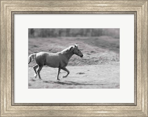 Framed Pasture Run Print