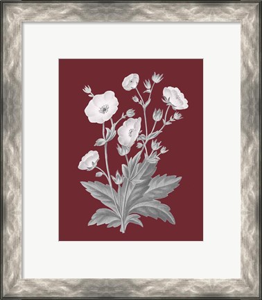 Framed Pomegranate Botanical VI Print