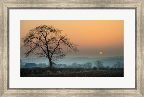Framed Morning Sun Print