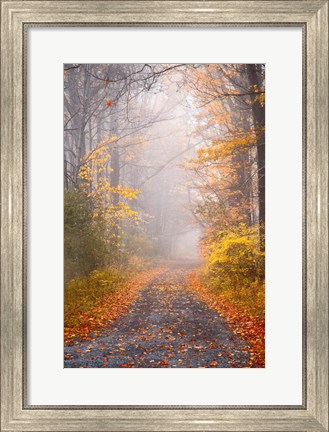 Framed Road and Autumn Mist Print