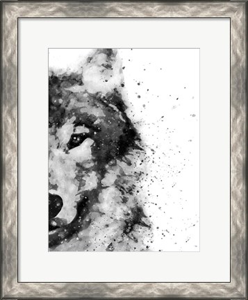 Framed Wolf At Attention Print