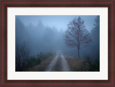 Framed Spring Fog Print