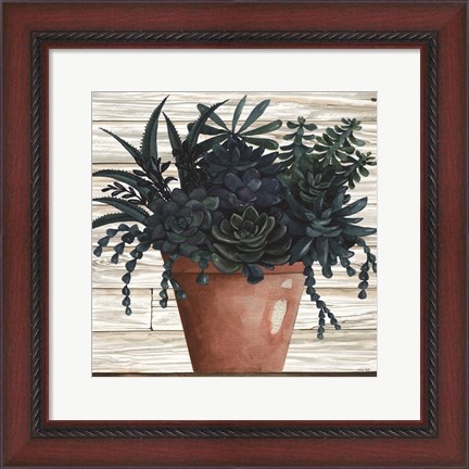 Framed Remarkable Succulents III Print