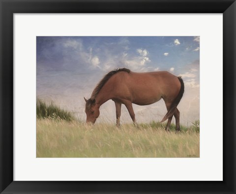 Framed Assataegue Horse Print