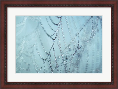 Framed Nature&#39;s Jewels I Print