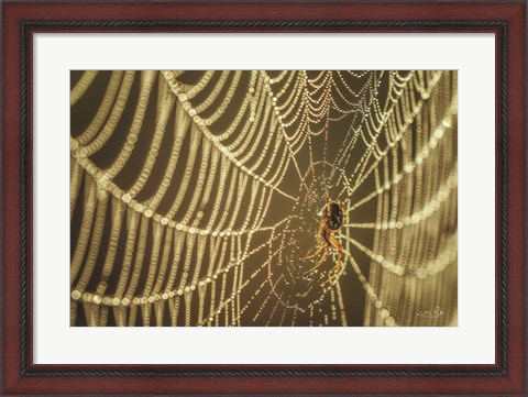 Framed Spider and Her Jewels Print