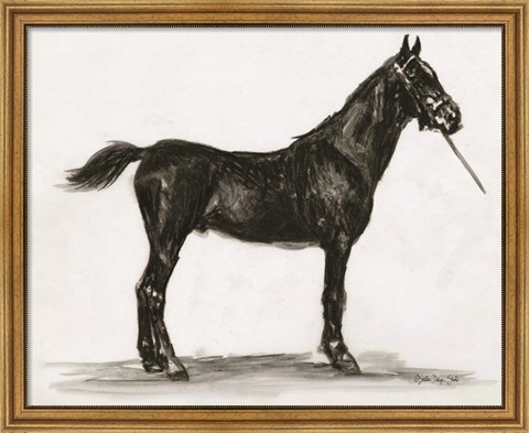 Framed Horse Study 3 Print