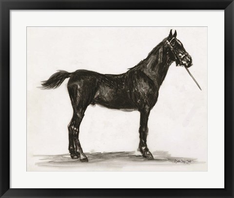 Framed Horse Study 3 Print
