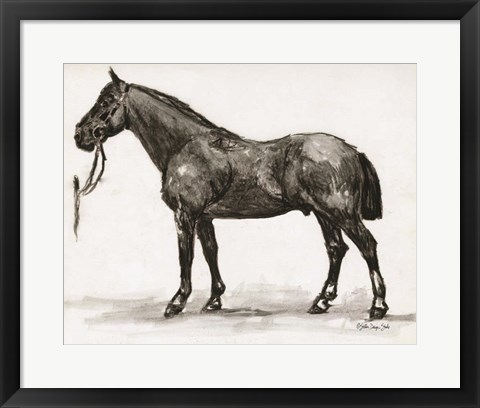 Framed Horse Study 4 Print