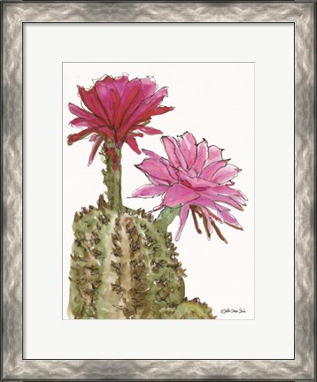 Framed Cactus Flower 2 Print