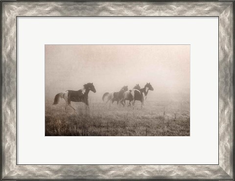 Framed Paint Horses on the Run Print