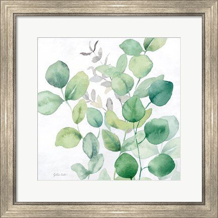 Framed Eucalyptus Leaves I Print