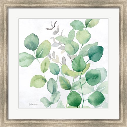 Framed Eucalyptus Leaves I Print