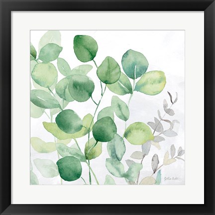 Framed Eucalyptus Leaves II Print