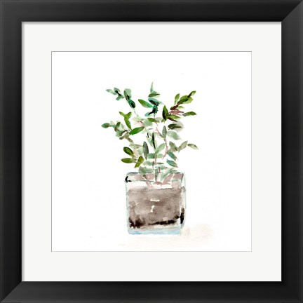 Framed Potted Botanicals V Print