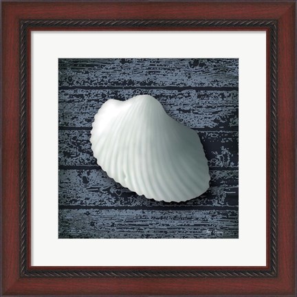 Framed Seashore Shells Navy I Print