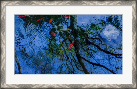Framed Fish Pond Print