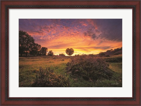 Framed From the Netherlands with Love Print