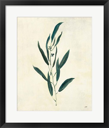 Framed Botanical Study V Print