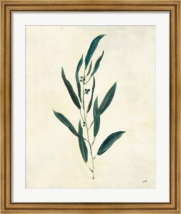 Framed Botanical Study V Print