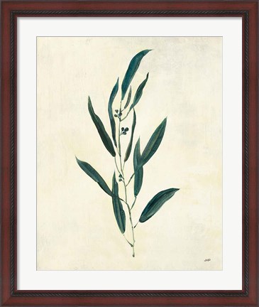 Framed Botanical Study V Print