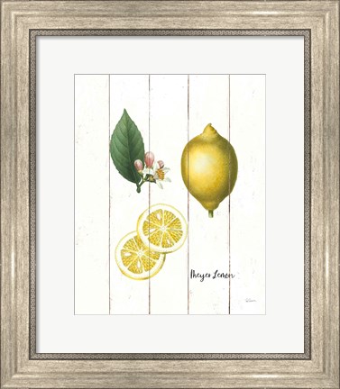 Framed Cottage Lemon II Print