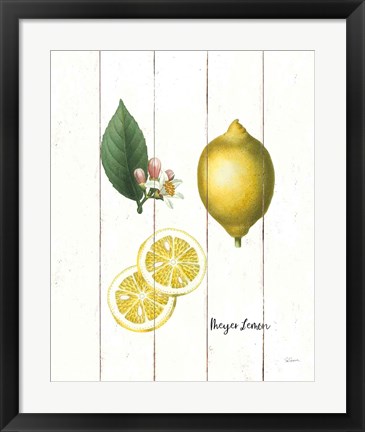 Framed Cottage Lemon II Print