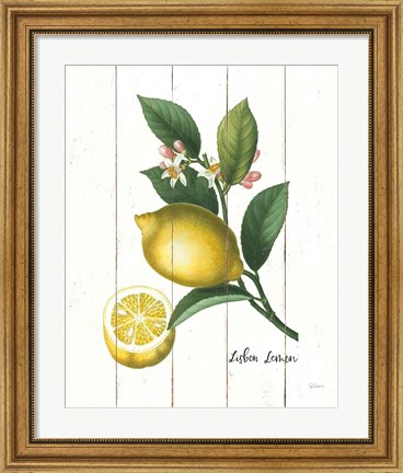 Framed Cottage Lemon I Print