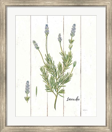 Framed Cottage Herbs II Print